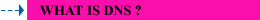 What is DNS Domain Name Service
